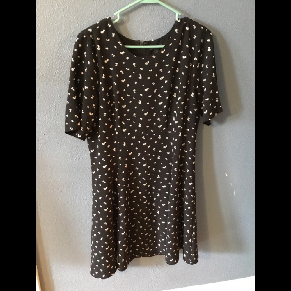 Ann Taylor black and cream print dress